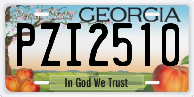 GA license plate PZI2510