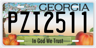 GA license plate PZI2511