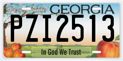 GA license plate PZI2513