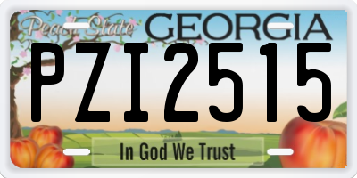 GA license plate PZI2515