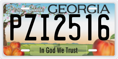 GA license plate PZI2516