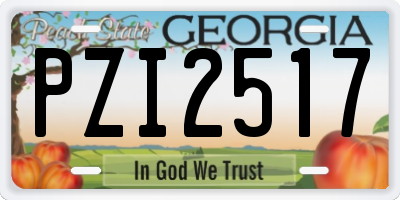 GA license plate PZI2517
