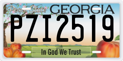 GA license plate PZI2519