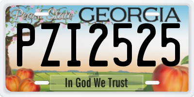 GA license plate PZI2525