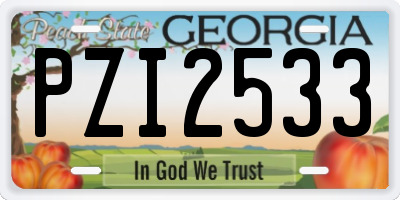 GA license plate PZI2533