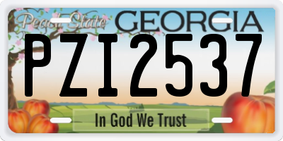 GA license plate PZI2537