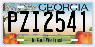 GA license plate PZI2541