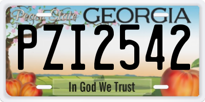 GA license plate PZI2542