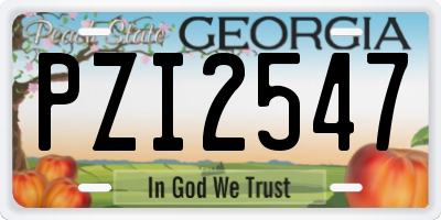 GA license plate PZI2547