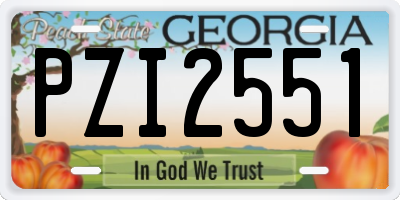 GA license plate PZI2551