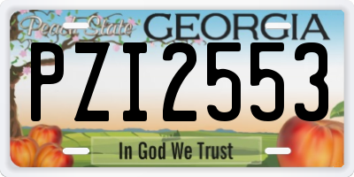GA license plate PZI2553