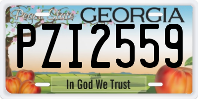 GA license plate PZI2559