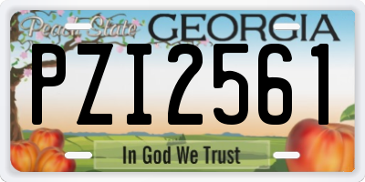 GA license plate PZI2561