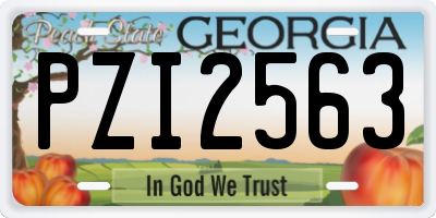 GA license plate PZI2563