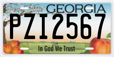 GA license plate PZI2567
