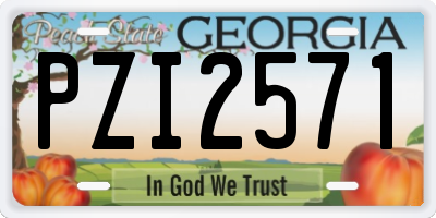 GA license plate PZI2571