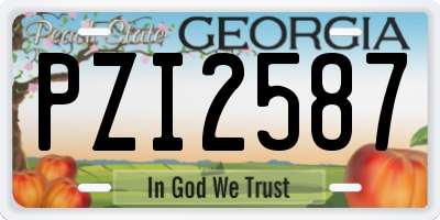 GA license plate PZI2587