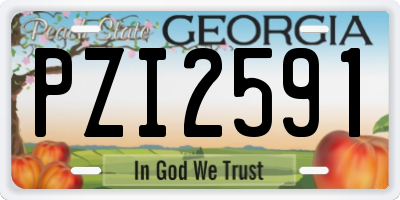 GA license plate PZI2591