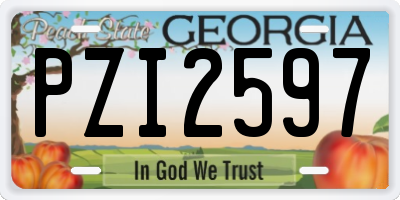 GA license plate PZI2597