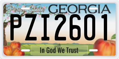 GA license plate PZI2601