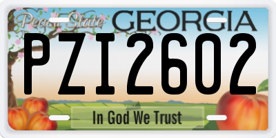 GA license plate PZI2602