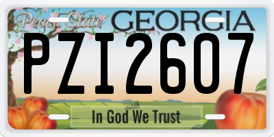 GA license plate PZI2607