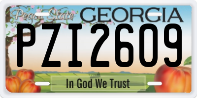GA license plate PZI2609