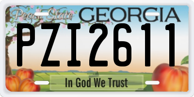 GA license plate PZI2611