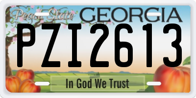 GA license plate PZI2613