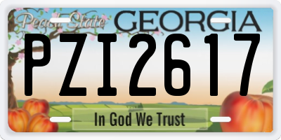 GA license plate PZI2617