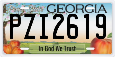 GA license plate PZI2619