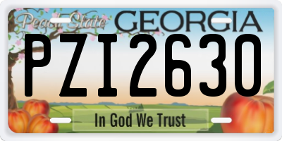 GA license plate PZI2630