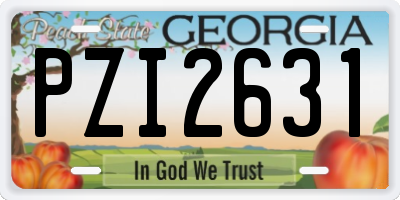 GA license plate PZI2631