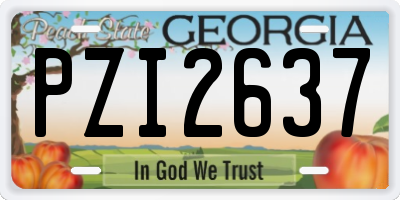 GA license plate PZI2637