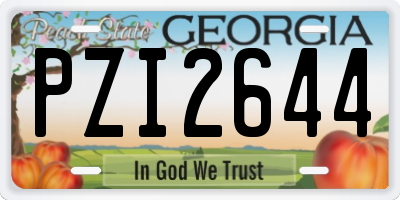 GA license plate PZI2644