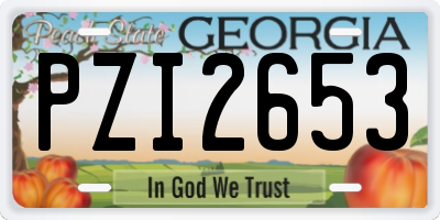 GA license plate PZI2653