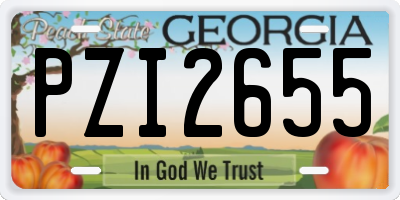 GA license plate PZI2655