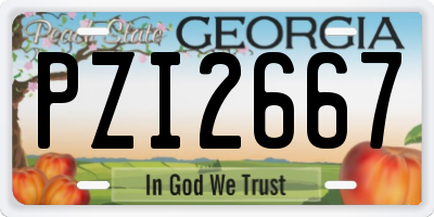 GA license plate PZI2667