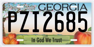 GA license plate PZI2685