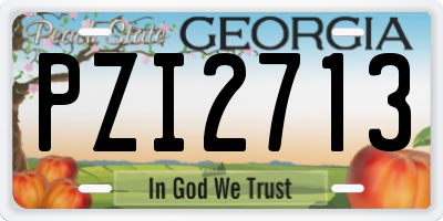 GA license plate PZI2713