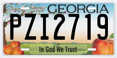 GA license plate PZI2719