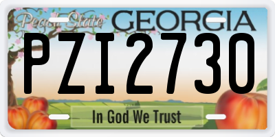 GA license plate PZI2730