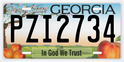 GA license plate PZI2734
