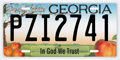 GA license plate PZI2741