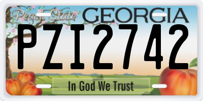 GA license plate PZI2742