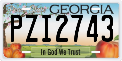 GA license plate PZI2743