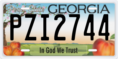 GA license plate PZI2744
