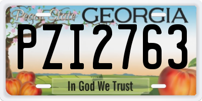 GA license plate PZI2763