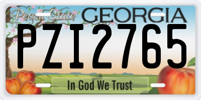 GA license plate PZI2765