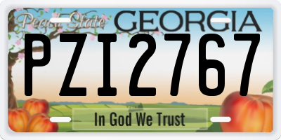 GA license plate PZI2767